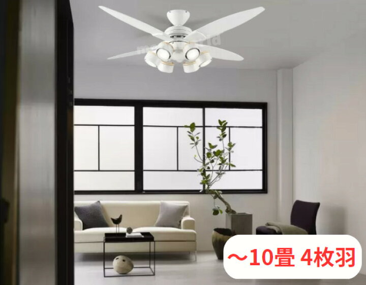 楽天市場】レビューキャンペーン目玉品◎当日発送品◎DAIKO ダイコウ  