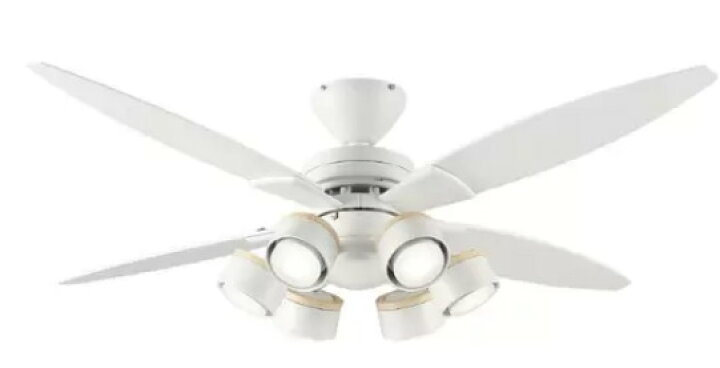 楽天市場】レビューキャンペーン目玉品◎当日発送品◎DAIKO ダイコウ  