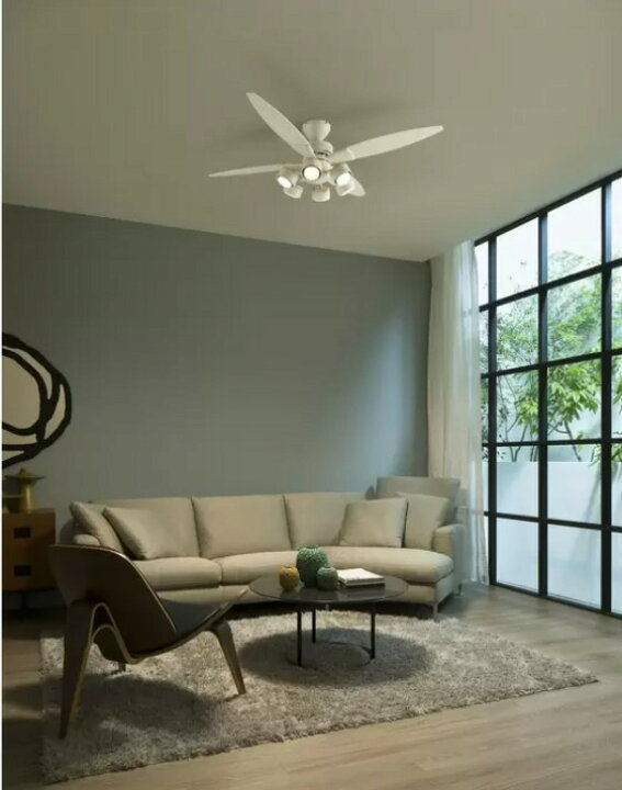 楽天市場】レビューキャンペーン目玉品◎当日発送品◎DAIKO ダイコウ  