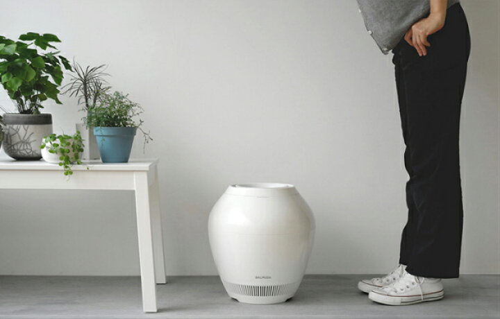 楽天市場】レビューキャンペーン目玉品◎当日発送品◎九州関西翌日着  