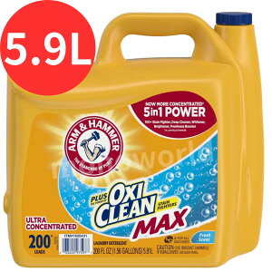 A[Ahn}[ vX ILVN[ t̐ 5.9L 200[h@t̐܁@܁@@p܁@ILVN[