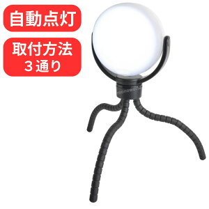 ǂłZT[Cg rbO 750[At@3ʂ