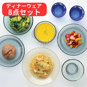 r[Ly[ڋʕiiPYREX pCbNX J[ KX fBi[EFA 8_Zbg M {E  v[gRbv e