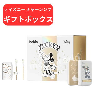 r[Ly[ڋʕi(ir[K{)iBelkin fBYj[ `[WO Mtg{bNX
