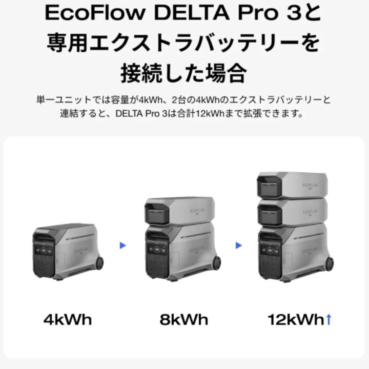 楽天市場】再入荷なし最後のお1つです！325000円→278000円◎数量限定 