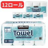 ◎最新日本製品◎当日発送品◎エコ発送品◎コストコ Costco キッチンペーパー (エコ発送)◎160シート×12…