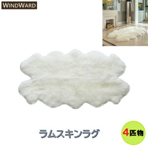�����X�L�����O 4�C���@��180 x 110 x 6cm�@�t�@�[���O�@�t�@�[�@�A�C�{���[�@�z���C�g�@���@�r��100���i�I�[�X�g�����A�A�j���[�W�[�����h�j�@�V�R�r��@���A���t�@�[