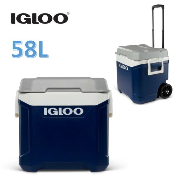 楽天市場】マラソン＆レビューキャンペーン目玉品◎当日発送品◎IGLOO 