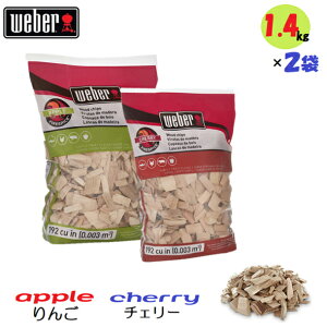 900g×2܁Weber@EF[o[@X[NEbh`bv@Abv`F[ 2ރZbg @17138@17140@BBQ@o[xL[@@O@AEghA@Lv Y ΋N C^[  `