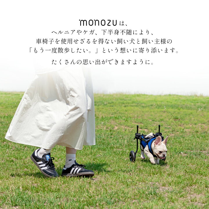 楽天市場】＼全品10％OFFクーポン！／犬用車いす 犬用車椅子 後ろ足 