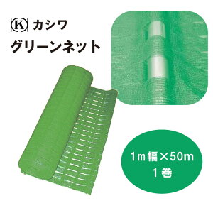 O[lbg 1m × 50m |G` ͂ lbgx [vx 搮 SǗ Cxg H