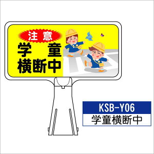 TC{[h KSB-Y06:wf  wf W J[R[ TC R[Ŕ Ŕ HH H ԏ J[R[{[h