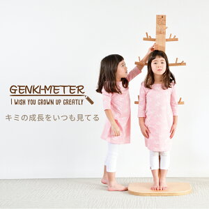 zbv QL[^[ i` gv ؐ|[nK[ HoppL GENKI-METER LbYnK[ y[J[1Nۏ؁z