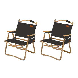 DesertFox アウトドア チェア キャンプ チェア 軽量 折りたたみ 椅子 L サイズ 78X54×51cm 耐荷重 150kg コンパクト 携帯便利 キャンプ椅子 DY (黒/2個 -TG/進化)