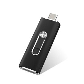RAOYI USBメモリ64GB USB 3.1 2in1 Type-C フラッシュドライブデュアルドライブ USBサムドライブ超高速 64GB USB Cドライブ ( ブラック)