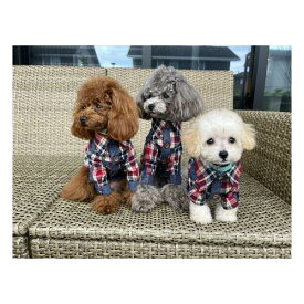 RIOSTUDIO 犬服 犬の服 ペット服 デニム風チェック柄シャツ 小型犬 中型犬 大型犬(XSサイズ)
