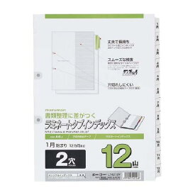 マルマン A4 インデックス ラミネート加工 2穴(補強シール付) 1~12月 LT4212Y 3個セット