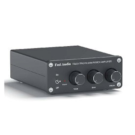 Fosi Audio TB10A 2 チャンネルアンプ 100W x 2 パワーアンプ ステレオ オーディオアンプ レシーバー TPA3116 ミニ Hi-Fi クラスD 内蔵アンプ 2.0CH ホームスピーカー用 低音と高音のコントロール付き (電源付