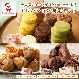 【新発売】アルパジョン 満足セットお中元 夏ギフト とろけるクッキー シューラスク 個包装 クッキー チョコ チョコレート シュー生地 ラスク スイーツ お菓子 洋菓子 焼き菓子 プレゼント ギフト 手土産