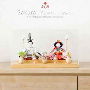 y2025NxŁz l` P[X RpNg  CeA ЂȂ ǂ ŐV ЂȐl` 킢 l  e ӂ邤 SakuraLiru TN