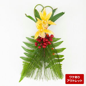 yAEgbgz     V VrWE V_  }t N A-75113