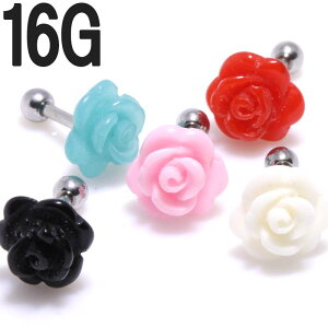 {fBsAX S5FIAN[Y (KN) gbv Xg[g o[xy16G(1.2mm)zBP-BC79 Jt |bvsAX {fB[sAX  Cu  gKX wbNX pXe Q