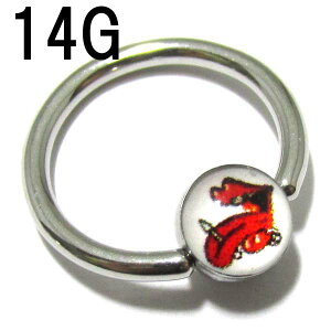 {fBsAX fUCSsN`[r[YOy14G(1.6mm)/14E^sAbVOzBCR-18-14 ʐ^ 摜/ {fB[sAX 316LT[WJXeX ring O sAX Xg[ |bv J