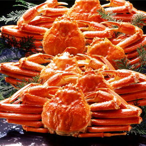 【身入り抜群のA級品！】カナダ産ボイルズワイガニ姿・約500g×6尾 冷凍ズワイ蟹