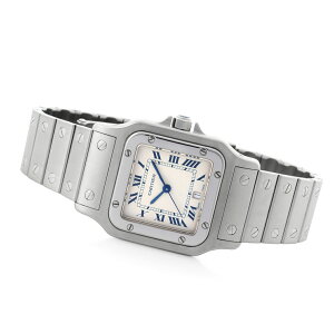 CARTIER�y1990�N��z�T���g�X �K���x LM Ref.W20018D6