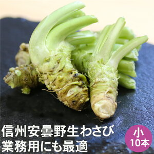킳 10{yzܖ 킳 Ɩp ܖY MB 쌧 R VN yN[ցz{킳 wasabi 킳 킳 쌧Y MBY