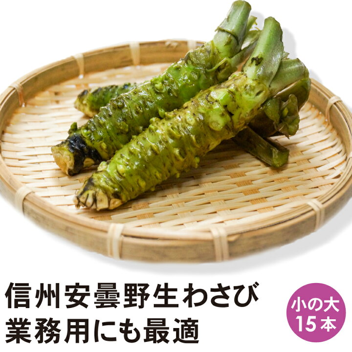 楽天市場】信州 安曇野産 生わさび 小の大サイズ 15本 【送料無料 