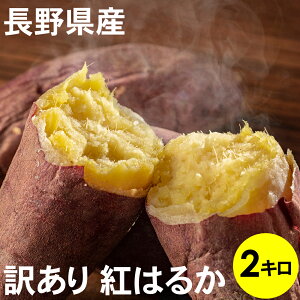 yX[p[Z[Z[|Cg10{zyyVňl 풆z쌧Y g͂邩 2kg yzTCY s 󂠂 yyVňl 풆z yr[Ăꂽ300g