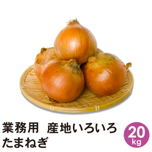 ʂ˂ G TCY 20kg yz ܂˂ ₳ Ɩp Y