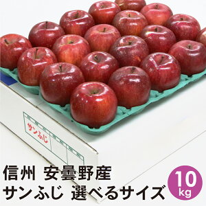 y\Ly[|Cg5{zMB ܖY Tӂ 10kg yz p@Mtg 쌧 ܖ  Tӂ Mtg