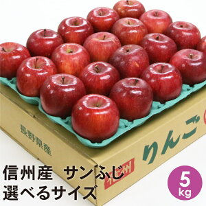 y\Ly[|Cg5{z@MBY Tӂ 5kg yz 쌧Y  TtW ypz