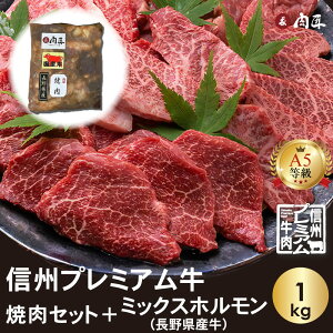 MBv~A A5 600g ēZbg ~bNXzt yz  䒆 Mtg ăMtg  a 蕨  јa ōN A5N   a v[g 