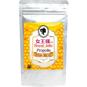 yzeʖ6 l̃[[[v|X 360 y}gilR|Xj|Xg wsze N Tvg clQ