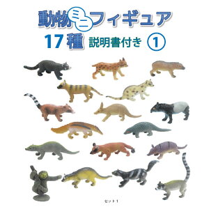 A ~jtBMA(1) 17 t Ώ۔N3Έȏ ͌^ Zbg