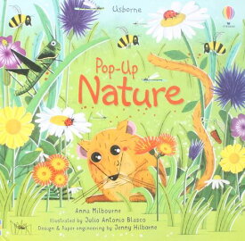 飛び出す絵本 仕掛け絵本 自然 英語 English picture book Usborne pop up natureプレゼント おうちモンテ 情操教育 しかけ絵本