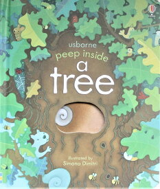 窓のある絵本 樹木 英語 English picture book「学ぶことは、見い出すこと。それは楽しい事です」幼児から小中学生の英語学習に使えます。Usborne peep inside the forest