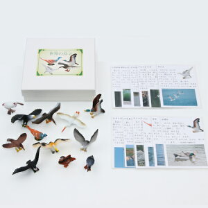 tBMA E̒2 12 iGJ[htj wKߋ v[g eb\[ 