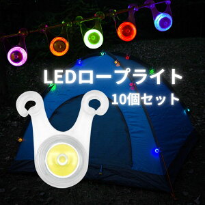 1000~ۂ [vCg Lv LEDCg 10Zbg Ԃ̓]|h~ eg ܂ qǂ LbY Vׂ ^[v KC[v LvMA h F  
