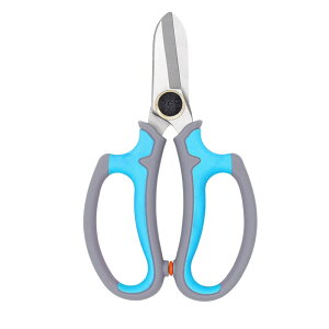 Ԃ΂  ͂  oT~ t[AWg ʎ noT~ ~ 