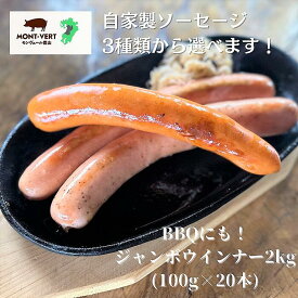 【50％OFFでご奉仕】 冷凍 種類が選べる自家製ソーセージ2kg(20本) バーベキュー フランクフルト ウインナー 生産直売 熊本県 モンヴェールポーク 送料無料 豚肉 プレゼント 屋台 出店 文化祭 祭