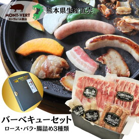 ブランド豚 バーベキューセット 冷凍 豚バラ ロース 生ソーセージ 生ウインナー ブラートブルスト 九州 ・ 四国 ・ 関西地方送料無料 一部送料負担有 焼肉　キャンプ飯　BBQ　焼肉におすすめ プレゼント 持ち寄りグルメ
