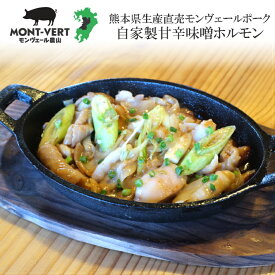 熊本県生産直売 特製甘辛味噌ホルモン400g 焼肉 バーベキュー 新鮮 生ホルモン 小腸 大腸 胃袋 豚ホルモン 味噌漬け 国産 味つけ肉 あす楽 簡単調理 冷凍可 冷凍 おかず 惣菜 タレ漬け 美味しい