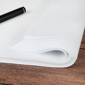 OV  120 A4 53g OV  _ VOy[p[ ޗp d |p H| Rs[  bsOy[p[