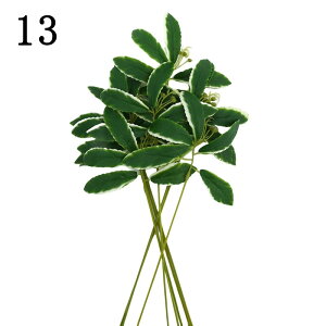   _I  DIY CeA 10{ ֏ԕr