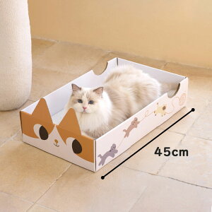 L ܂Ƃ i{[ 킢 Lxbh  ܂Ƃ{[h {bNX L̂ RpN 45*35cm Lp JԂg