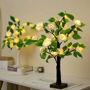 24LED[Ye[ũvAOő삳LED[Yc[Cgobe[A̓̃o^Cf[̌K[fp[eB[pDIYCgA55cm